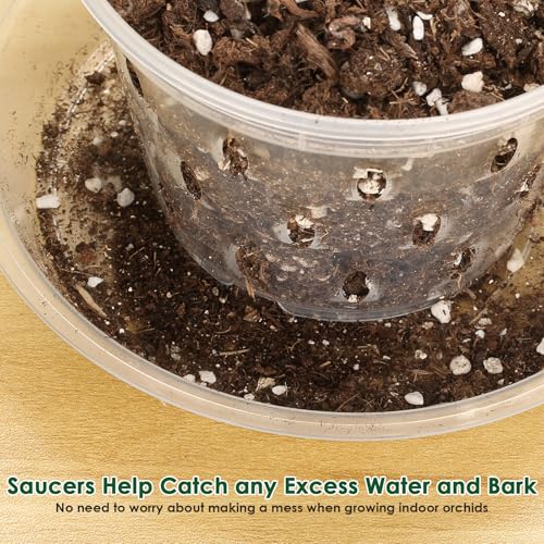 Jollidecor 12 Orchid Pots with Holes and Saucers for Repotting, 4" 5" 5.6" 6" Clear Orchid Pot with Green Orchid Stick Clip, Breathable Slotted Plastic Orchid Planter with Drainage for Root Health Indoor Outdoor - Image 4