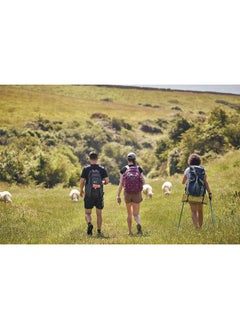 Upper Clyde Valley, Biggar & Lanark  - Image 3