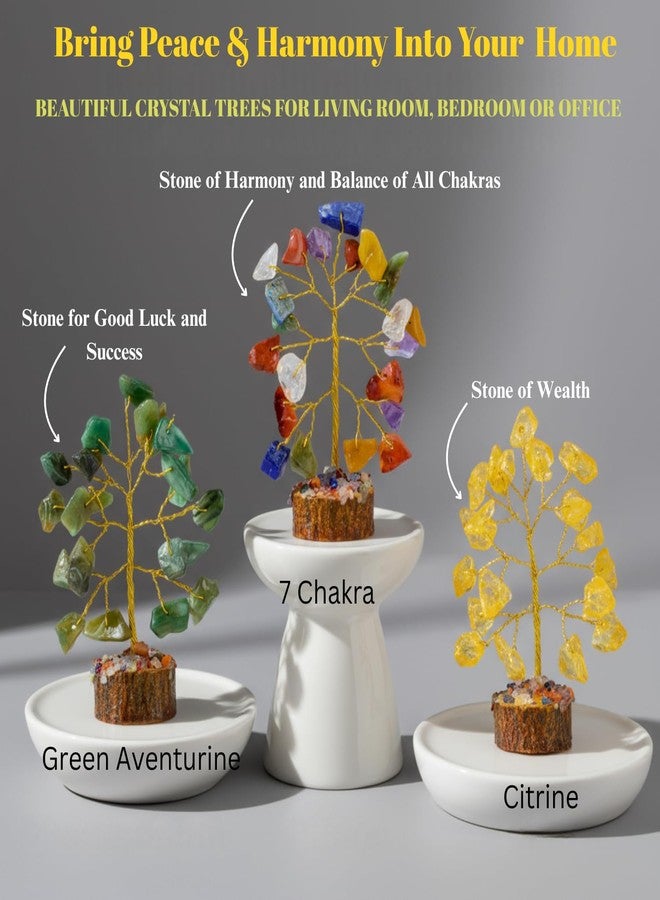 ANAYA AGATE Crystal Tree Set of 12 Unique Birthday Gifts for Women,Sister,Mom,Home Office Decor,Shelf Decoration for Positive Energy,Bring Good Luck,Money,Reiki Healing, Chakra Tree of Life Gift Sets - Image 3