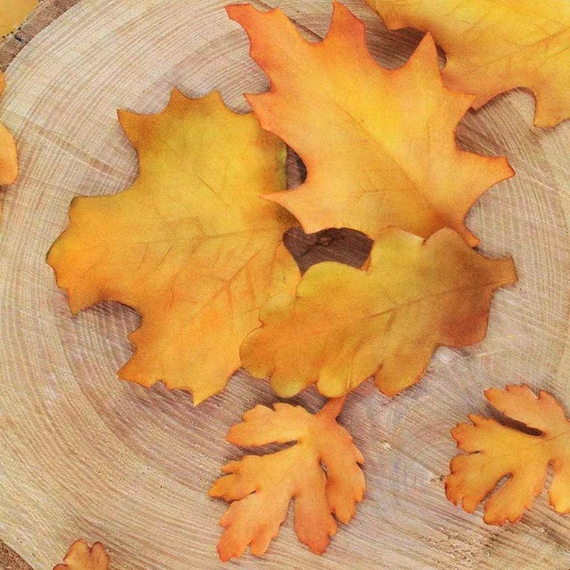 GLOGLOW Nan 4PCS Christmas Fall Leaves Cutter Set, FoodGrade Plastic, Easy to Use, Ideal for Autumn Leaves Baking, Thanksgiving Cookie Decoration Kitchen Tools (White) - Image 2