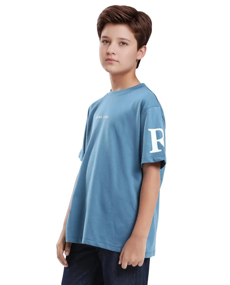 Rare Ones Rare Ones Kids Flux Dusky Blue Cotton Blend Half Sleeve Slip-On Printed Regular Fit T-Shirt