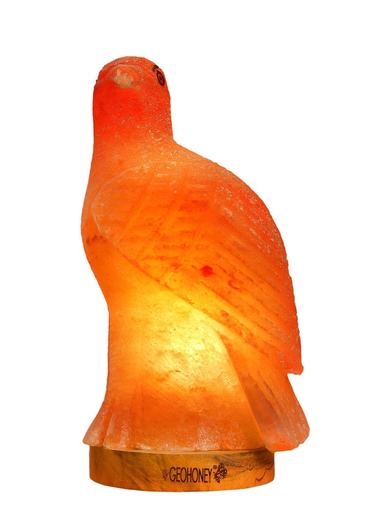 Geohoney - Himalayan Salt Lamp Eagle - Image 1