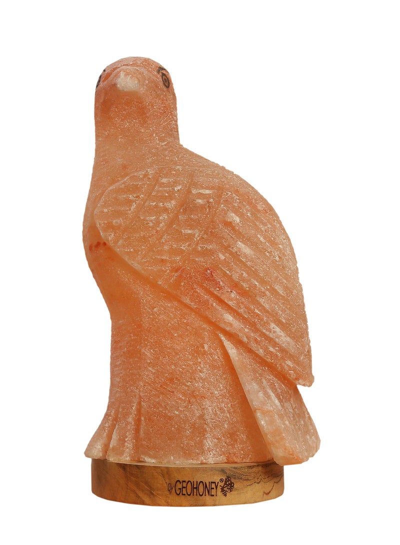 Geohoney - Himalayan Salt Lamp Eagle - Image 2