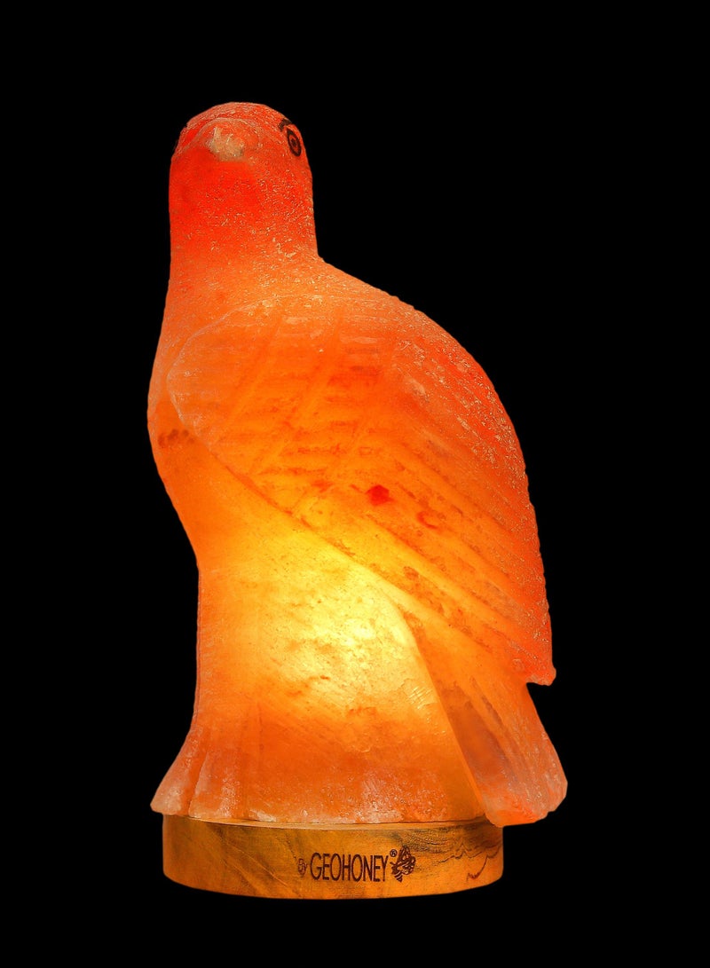 Geohoney - Himalayan Salt Lamp Eagle - Image 4