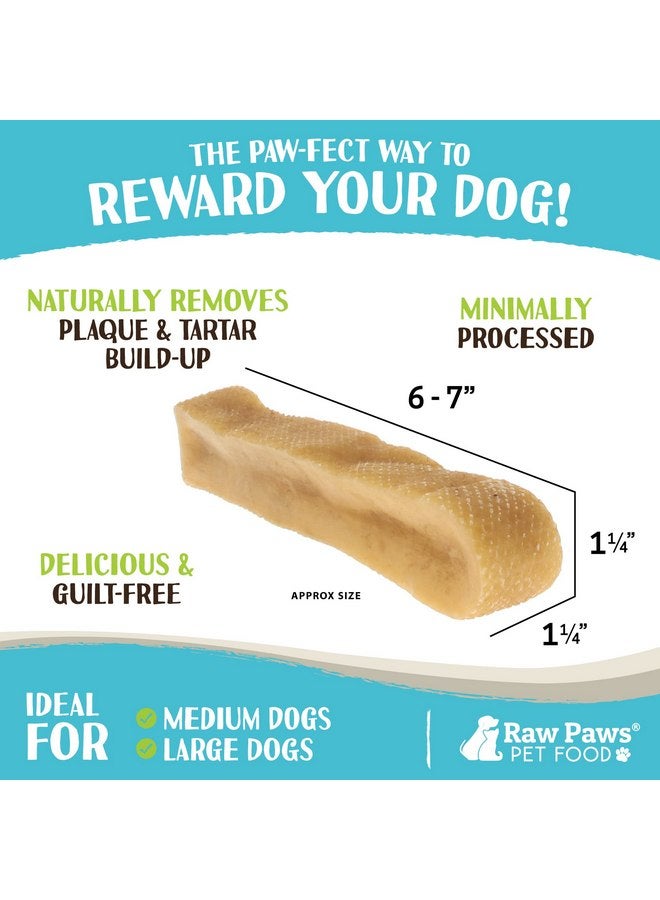 Raw Paws Himalayan Yak Chews for Dogs, Extra Large Chews (4 Count) - Himalayan Cheese for Large Dogs, Yak Bones for Dogs - Yak Milk Bones for Dogs, Dog Cheese Chews Himalayan, Yak Chews for Large Dogs - Image 3