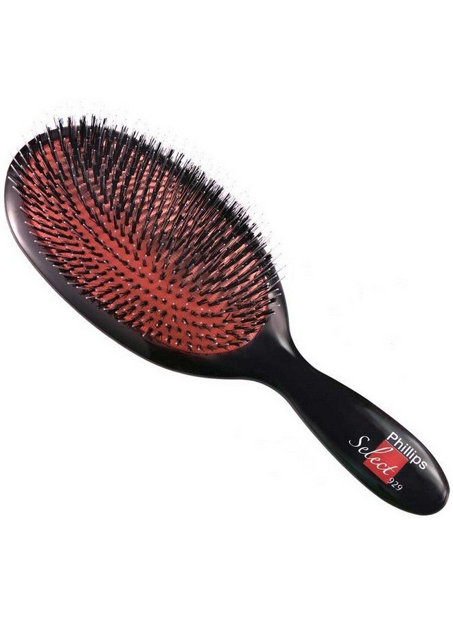 فرشاة Ps Select 929 ~ وسادة بيضاوية كبيرة ~ احترافية