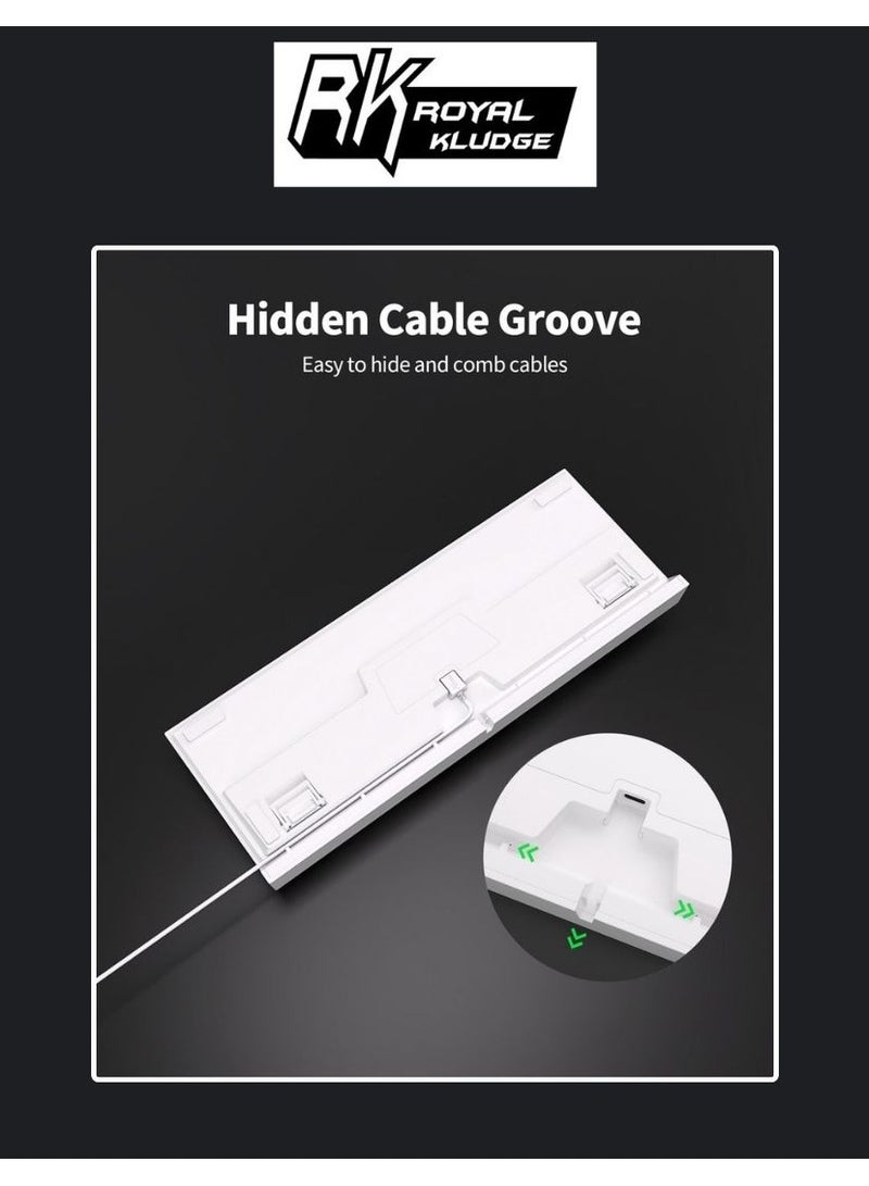 رويال كلودج لوحة مفاتيح الألعاب السلكية Royal Kludge RK R87 TKL RGB القابلة للتبديل الساخن باللون الأبيض - مفتاح أزرق - Image 3
