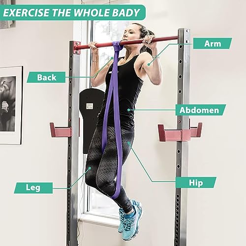 Proberos® Resistance Bands Set, Durable TPE Stretch Band for Exercise, Strength Training, Stretching, Yoga, Physical Therapy, Full-Body Home/Gym Workouts, Portable Fitness Accessories (3 Pcs 10-55kg) - Image 3