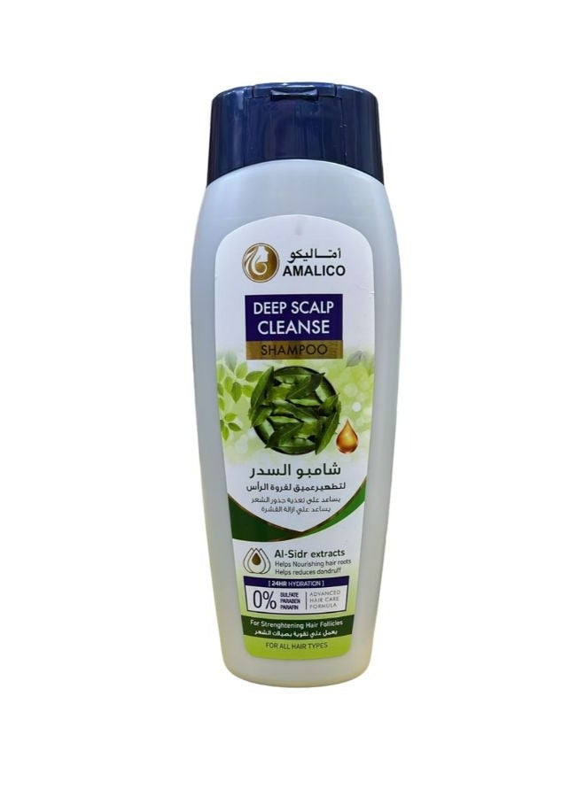 AMALICO Deep Scalp Cleanse Shampoo AL-Sidr Exracts 425 ML