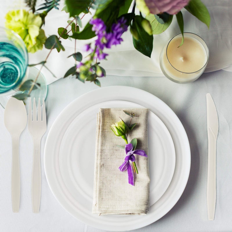 BIRCHIO 250 Piece Biodegradable Paper Plates Set (EXTRA LONG UTENSILS)  Disposable Dinnerware Set  Eco Friendly Compostable Plates & Utensil include Plates  Forks  Knives and Spoons for Party - Image 4