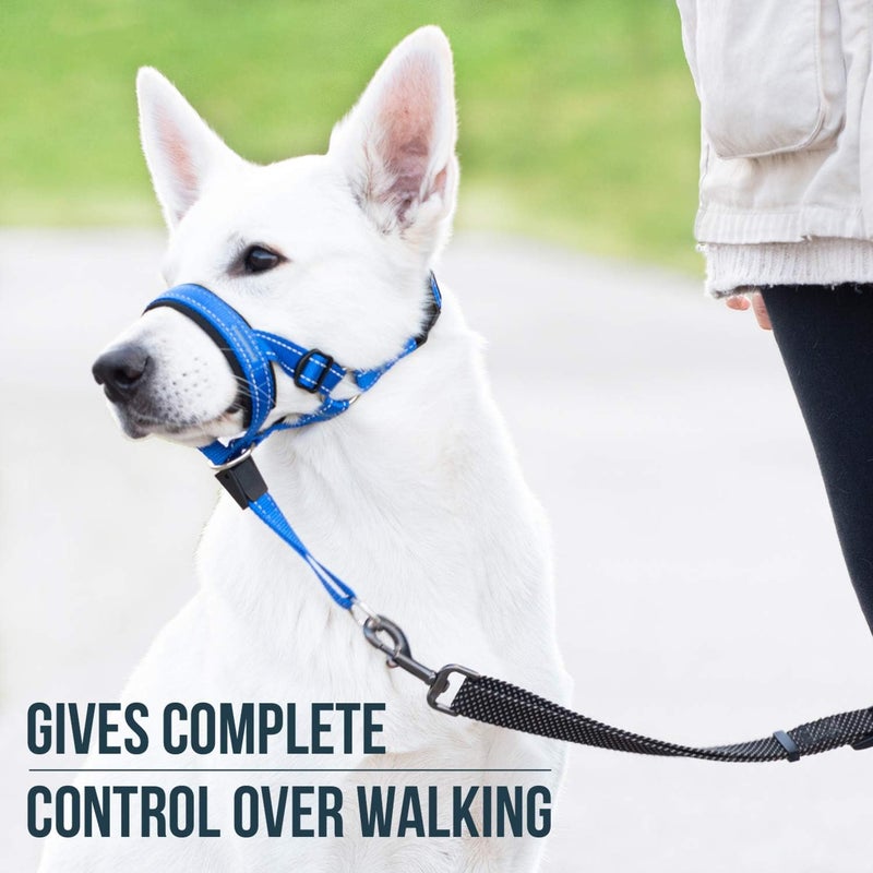 GoodBoy Dog Head Halter with Safety Strap - Stops Heavy Pulling On The Leash - Padded Headcollar for Small Medium and Large Dog Sizes - Head Collar Training Guide Included (Size 4, Blue Nylon) - Image 2