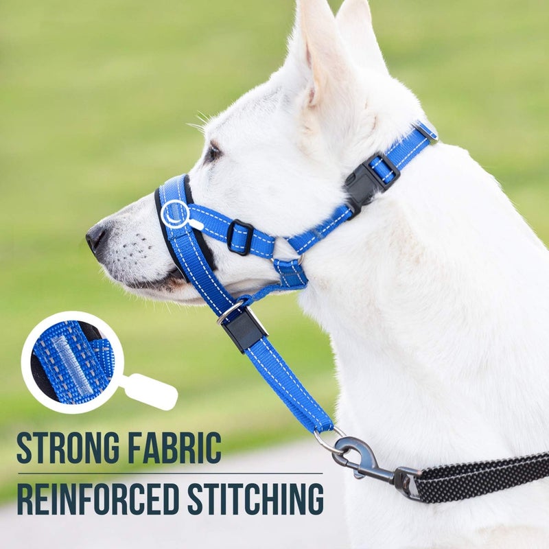 GoodBoy Dog Head Halter with Safety Strap - Stops Heavy Pulling On The Leash - Padded Headcollar for Small Medium and Large Dog Sizes - Head Collar Training Guide Included (Size 4, Blue Nylon) - Image 4