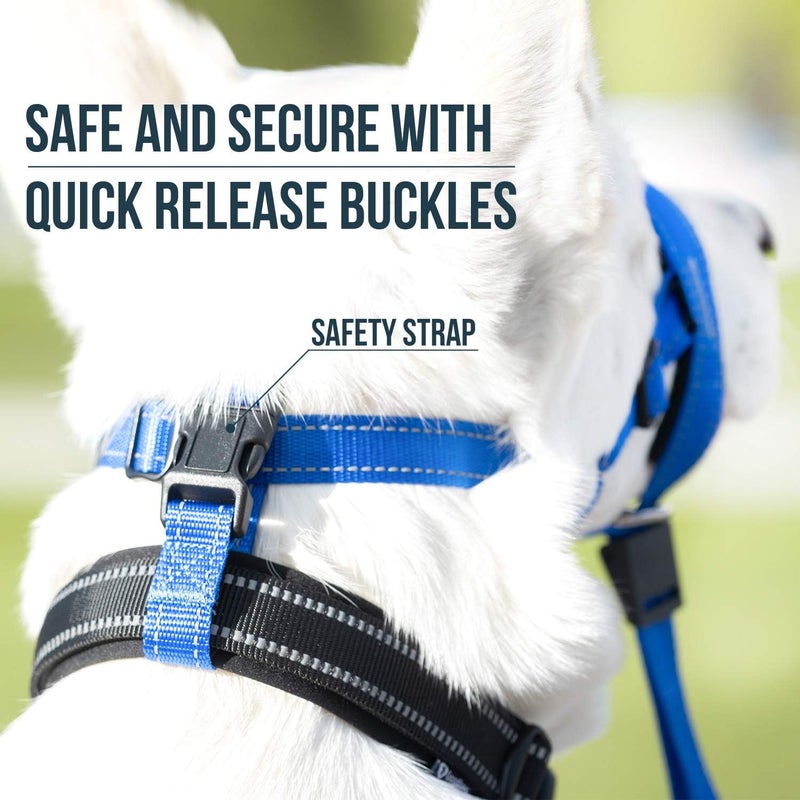 GoodBoy Dog Head Halter with Safety Strap - Stops Heavy Pulling On The Leash - Padded Headcollar for Small Medium and Large Dog Sizes - Head Collar Training Guide Included (Size 4, Blue Nylon) - Image 5