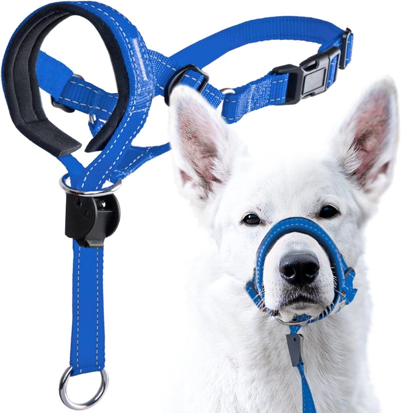 GoodBoy Dog Head Halter with Safety Strap - Stops Heavy Pulling On The Leash - Padded Headcollar for Small Medium and Large Dog Sizes - Head Collar Training Guide Included (Size 4, Blue Nylon) - Image 1