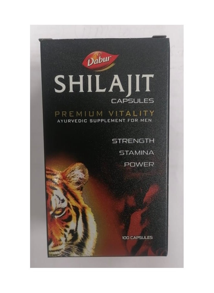 Dabur شيلاجيت ملحق الايورفيدا للرجال - Image 2