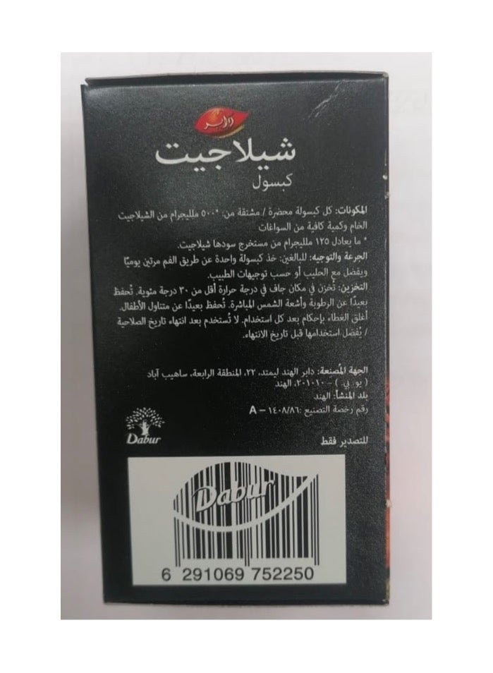Dabur شيلاجيت ملحق الايورفيدا للرجال - Image 4