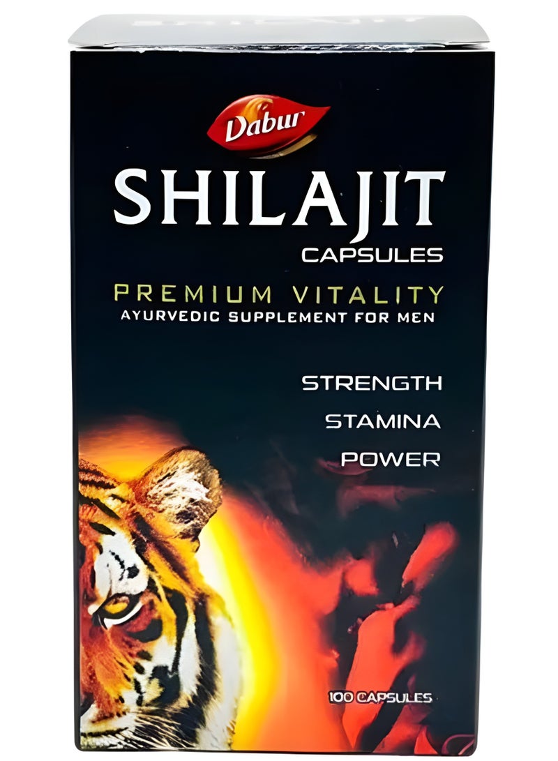 Dabur شيلاجيت ملحق الايورفيدا للرجال - Image 1