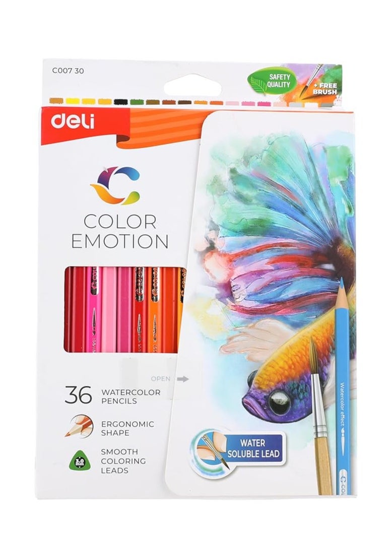 Deli - 36 Colored Pencil Pre-Sharpened - Image 1