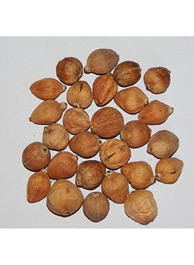 Pmw - LAGHU NARIYAL - ENERGISED - QUALITY - MAHALAKSHMI COCONUT - SMALL COCONUT - SET OF 108 - LOOSE PACKED