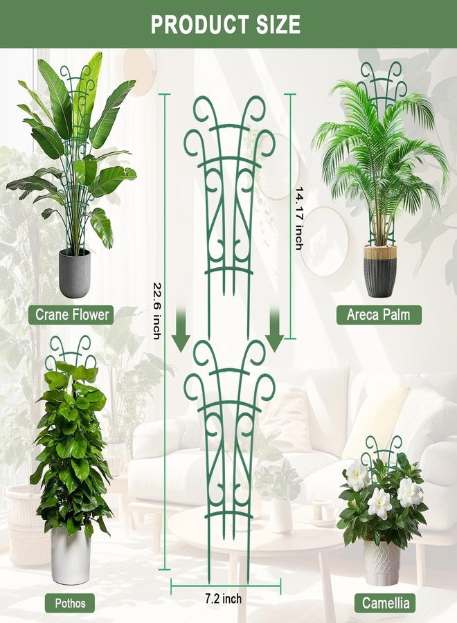 Qaobo 6 Pack Indoor Plant Trellis for Potted Plants, Stackable Garden Trellis for Climbing Plants Outdoor, Small Trellis for Houseplants Rose Hoya Pothos Plant Climber Support - Image 2