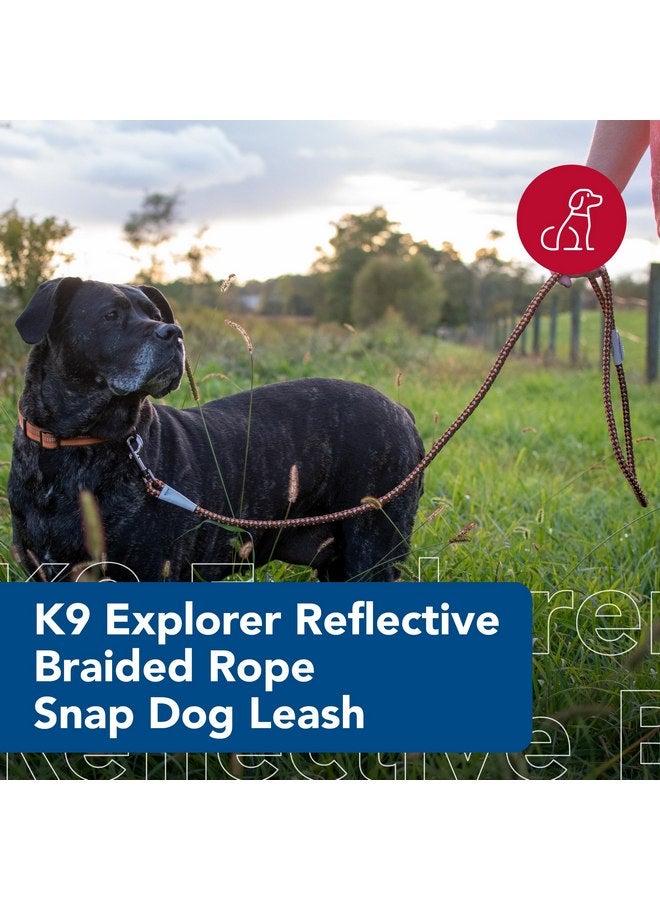 Coastal Pet K9 Explorer Reflective Braided Rope Snap Dog Leash - Heavy-Duty Leash - Comfortable & Secure Grip - Reflective Cord & Rugged Gunmetal Hardware - Orchid, 06' - Image 2