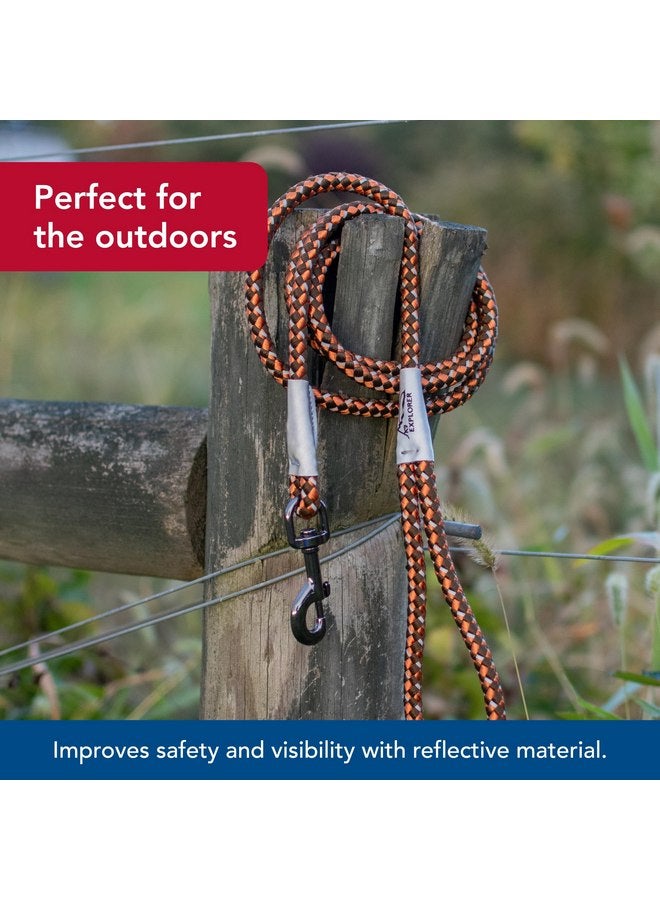 Coastal Pet K9 Explorer Reflective Braided Rope Snap Dog Leash - Heavy-Duty Leash - Comfortable & Secure Grip - Reflective Cord & Rugged Gunmetal Hardware - Orchid, 06' - Image 3