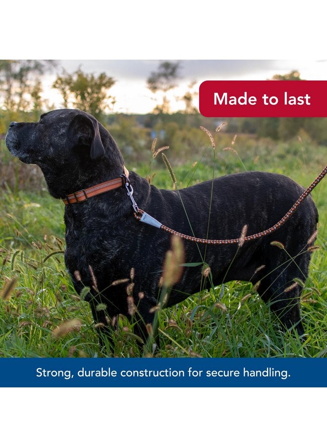 Coastal Pet K9 Explorer Reflective Braided Rope Snap Dog Leash - Heavy-Duty Leash - Comfortable & Secure Grip - Reflective Cord & Rugged Gunmetal Hardware - Orchid, 06' - Image 4