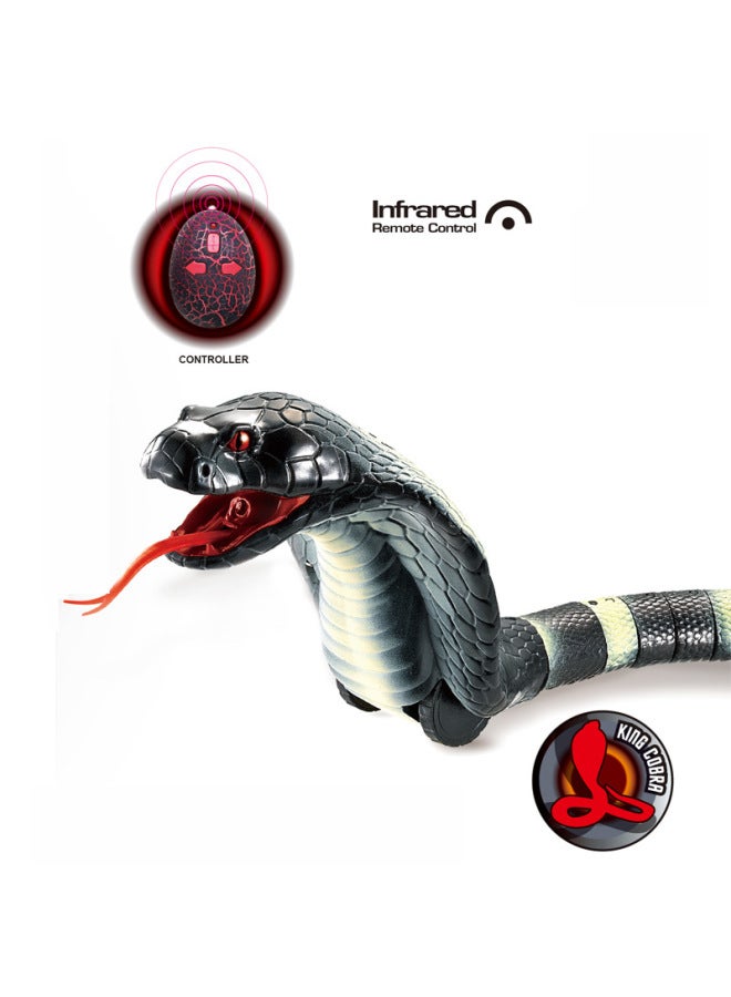 جهاز التحكم عن بعد بالأشعة تحت الحمراء الأكثر مبيعًا، محاكاة سحلية كهربائية، فأر ثعبان، عنكبوت، خدعة يوم كذبة أبريل، لعبة التحكم عن بعد للحيوانات - اللون: ثعبان للتحكم عن بعد بالأشعة تحت الحمراء (مع كابل شحن USB) 9909A-D - Image 2