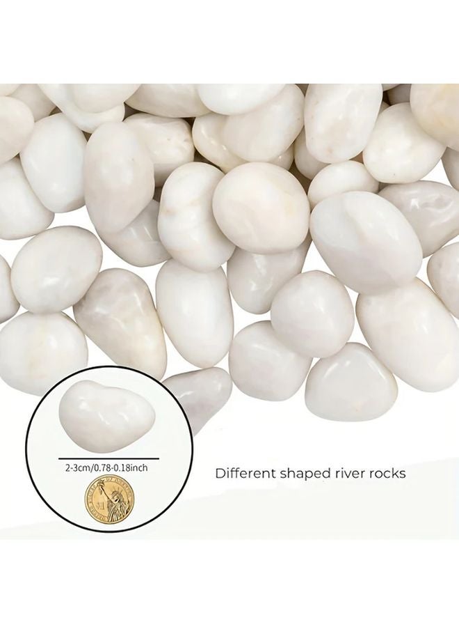 3 Pounds Natural White Polished Pebbles River Rocks for Aquarium Gravel Fish Tank Decor - Image 5