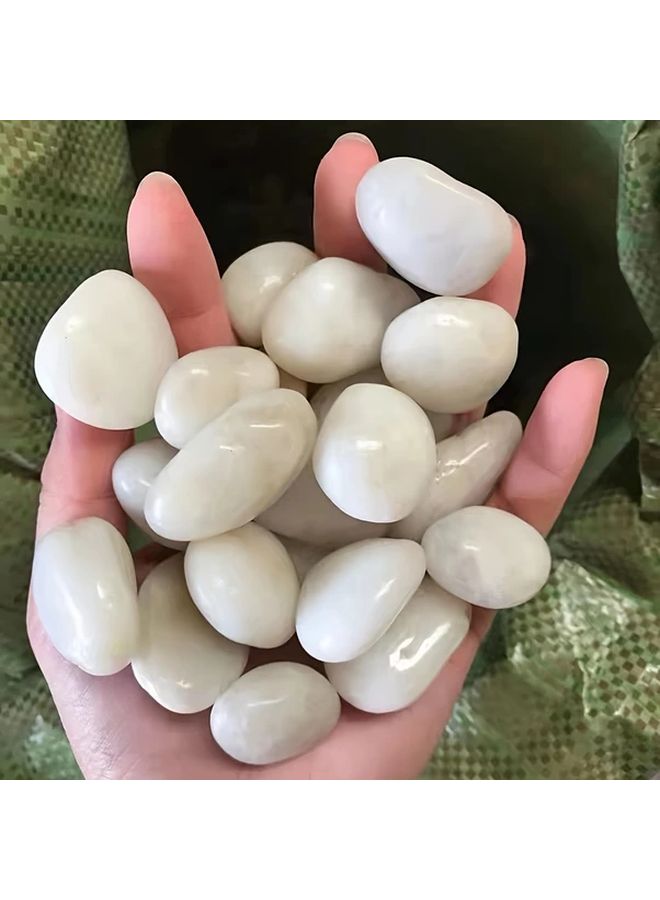 3 Pounds Natural White Polished Pebbles River Rocks for Aquarium Gravel Fish Tank Decor - Image 4