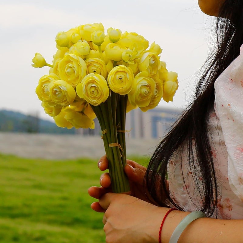 Luckam Artificial Ranunculus 2 Bouquets Artificial Flowers 12PCS Faux Ranunculus Flowers for Vase Filler Bouquet Wedding Decor Bridal Shower Floral Filler Flowers Centerpieces (Yellow) - Image 5