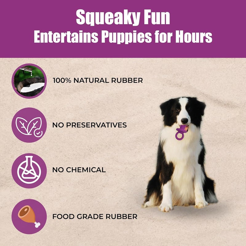 SPOT Ethical Puppy Pacifier Latex Dog Toy - Image 4