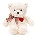 Riuhot Teddy Bear Plush with Heart Cute White Teddy Bear Stuffed Animal Soft Stuffed Anamals Bear Plushie Christmas Birthday Gifts for Girlfriend Boyfriend Kids 138 - Image 2