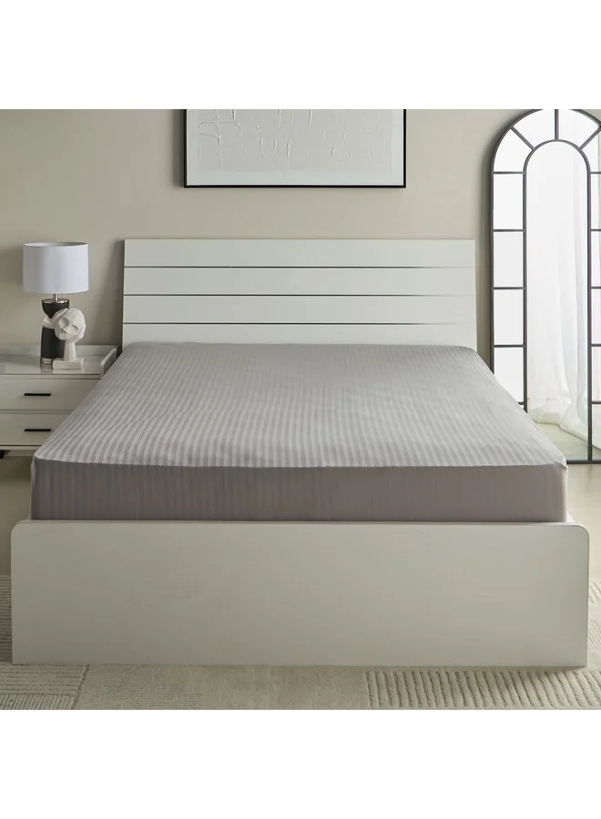 Home Box Hamilton Satin Stripe Queen Fitted Sheet 200 x 36 x 150 cm