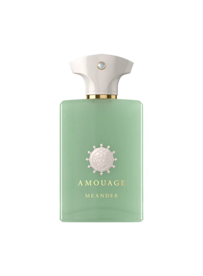 امواج للعطور مياندر إي دي بي 100 مل - Image 1