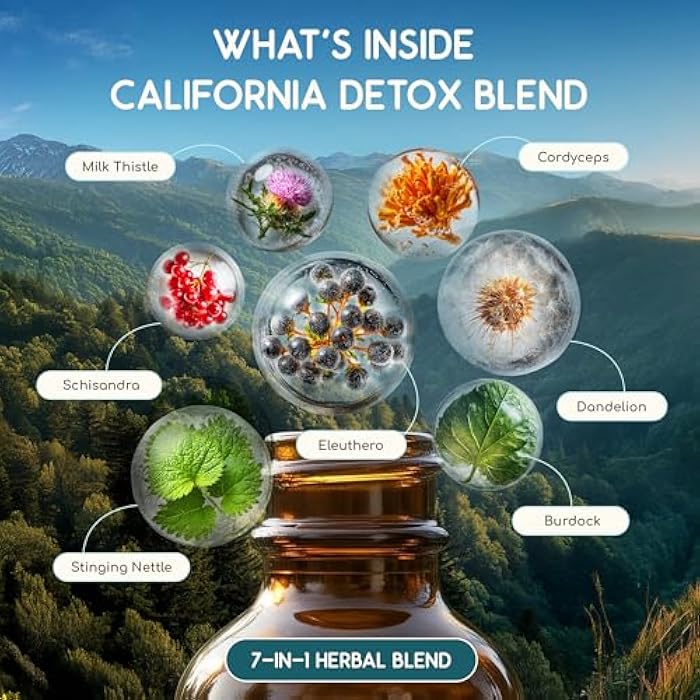 HerbEra California Herbal Detox Blend - USDA Organic Extract, Made in USA | Immune & Liver Support Liquid Drops | Burdock, Dandelion Root, Eleuthero, Milk Thistle, Schisandra | 2 fl oz - Image 4