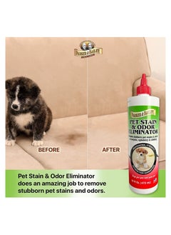 Parker & Bailey Pet Stain & Odor Eliminator 473 ML  - Image 3