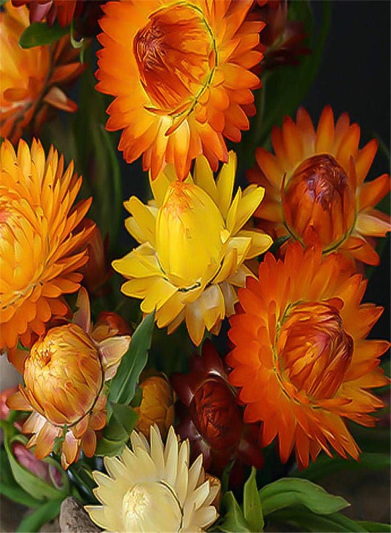 جي جوت بذور حديقة معمرة، بذور أقحوان من قش القمح، بذور زهرة بحرية طبيعية - 50 قطعة، بذور زهور برية نادرة - Image 2