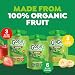 GoGo squeeZ Organic Applesauce and Fruit Puree Variety Pack Apple Strawberry  Banana 32 oz Pack of 12 Unsweetened Organic Fruit Snacks for Kids No Gluten Nut  Dairy BPA Free Pouches - Image 4