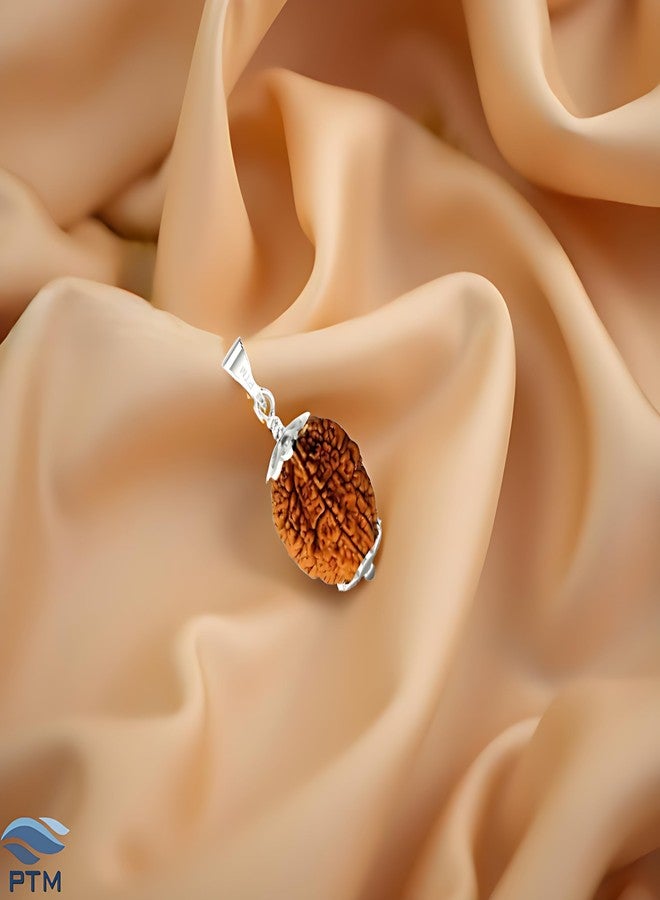 PTM 2 mukhi (Two face) Astrological Original Certified Natural Rudraksha 925 BIS Hallmark Sterling Silver Cap Pendant - Image 2