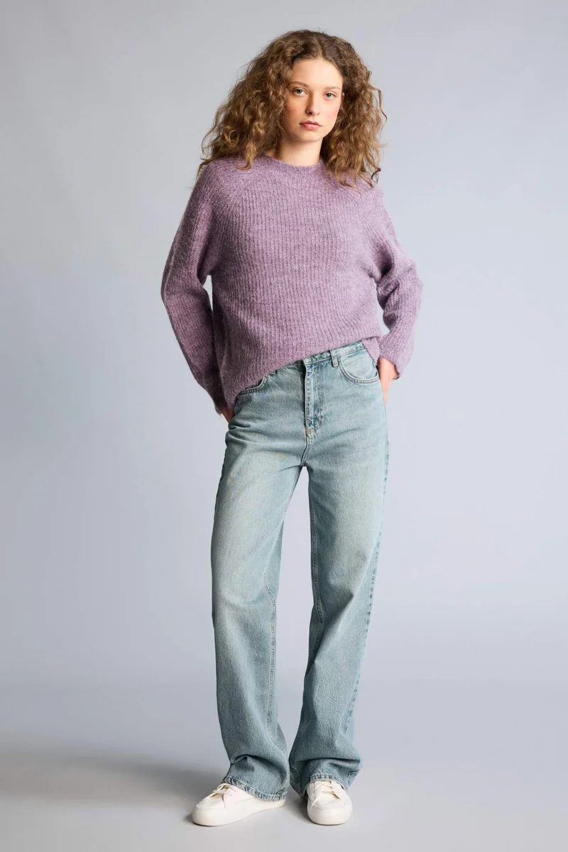 ديفاكتو Regular Fit Crew Neck Pullover