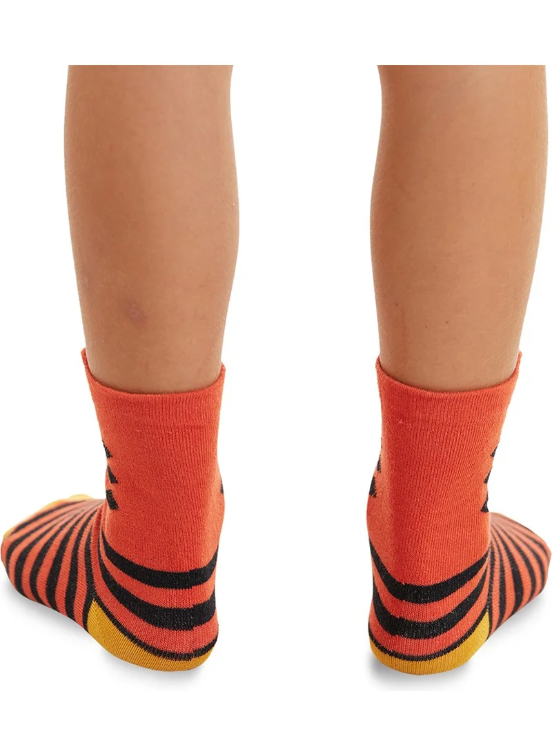 Denokids Kaplan Boys 2-Pack Socks Set