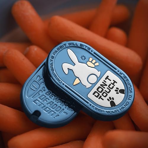HIDEDC Desperate Rabbit Fidget Slider Metal Fidget Toys Adults Haptic Coin Infinite Rotation Push EDC Fidget Toys Sensory Toy Executive Desk Toy for Keep Focus Stress Relief Jewel Blue - Image 5