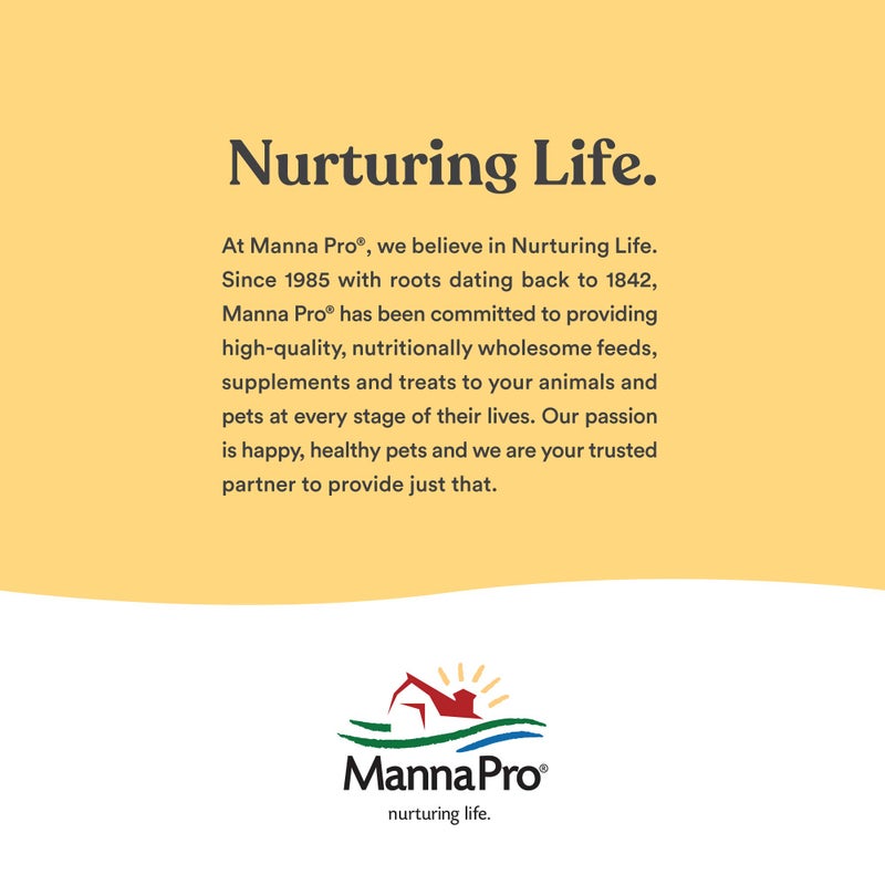 Manna Pro All Flock with Probiotics Crumble | Formulated with Vitamins and Minerals to Support a Balanced Diet | 8 Pounds - Image 5