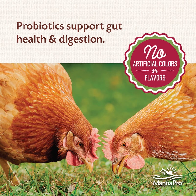 Manna Pro All Flock with Probiotics Crumble | Formulated with Vitamins and Minerals to Support a Balanced Diet | 8 Pounds - Image 4
