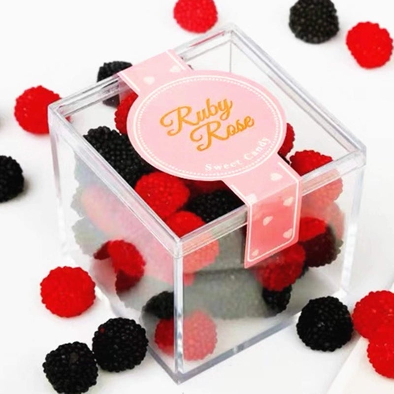 KissYou Acrylic Box with Lid Clear Display Box Plastic Square Cube 24 Packs Easter Candy Boxes Jewelry Storage Box Wedding Party Decorative Boxes 