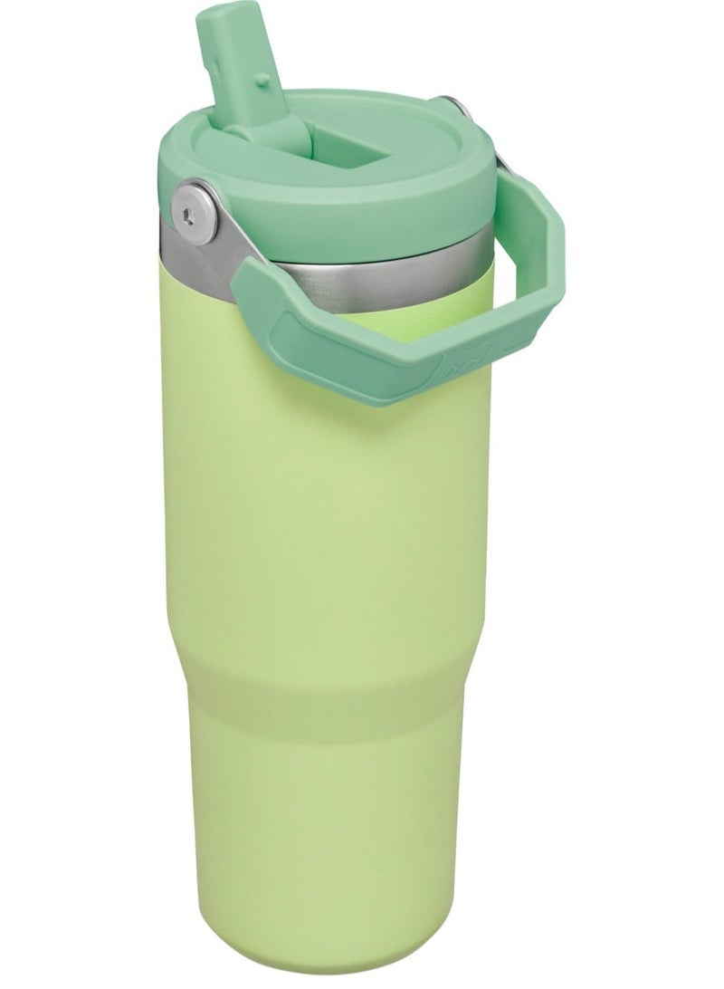 Stanley Large Capacity Insulated Water Bottle - Image 2