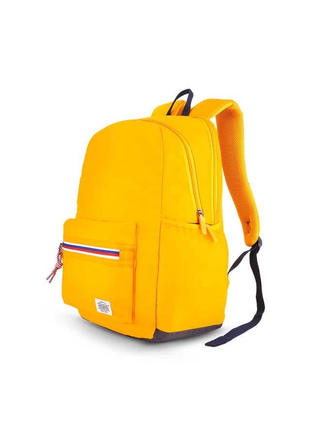 American Tourister Carter, 28L Volume College And Office 4 Compartment Laptop Backpack With Front Organizer And Spacious Interiors For Unisex - Cadmium, Orange - Image 1