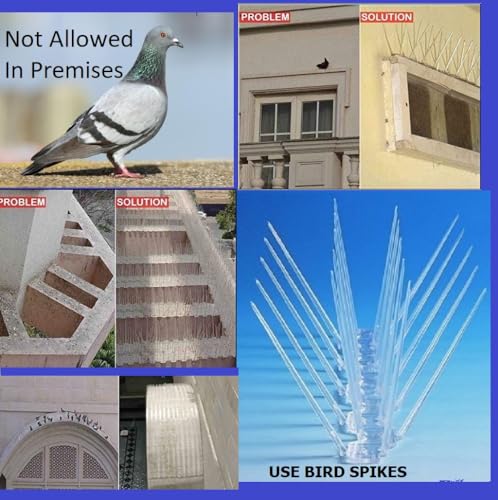 BirdFlee Polycarbonate Bird Spikes 5pcs. Set - Image 2