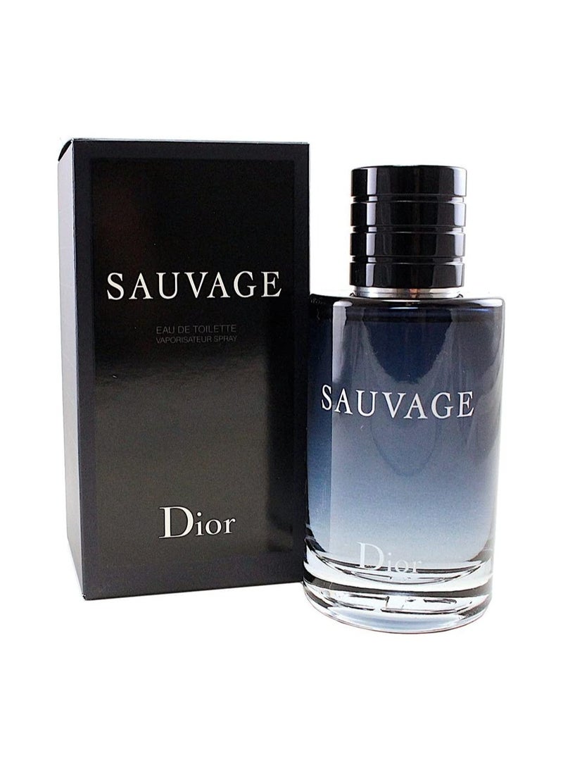 Savage Perfume - Eau de Toilette 100ml - pzsku/Z286EFDEEEE59249552A8Z/45/_/1683991598/4c26691a-07ed-4bd1-be5f-20e6b0cd47b3